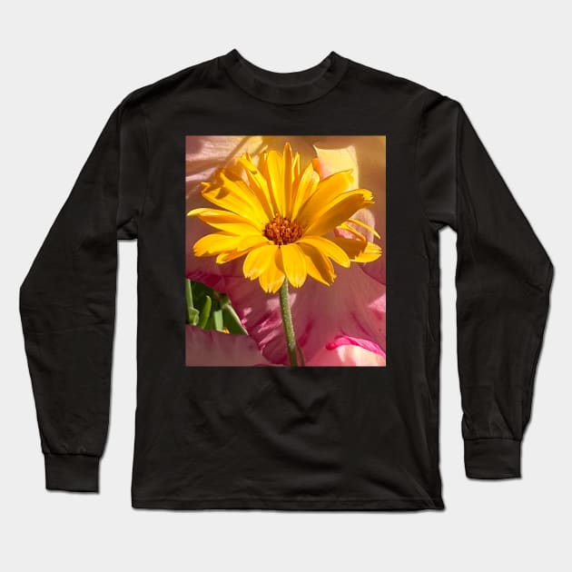 Rising Yellow Daisy Flower Long Sleeve T-Shirt by Photomersion